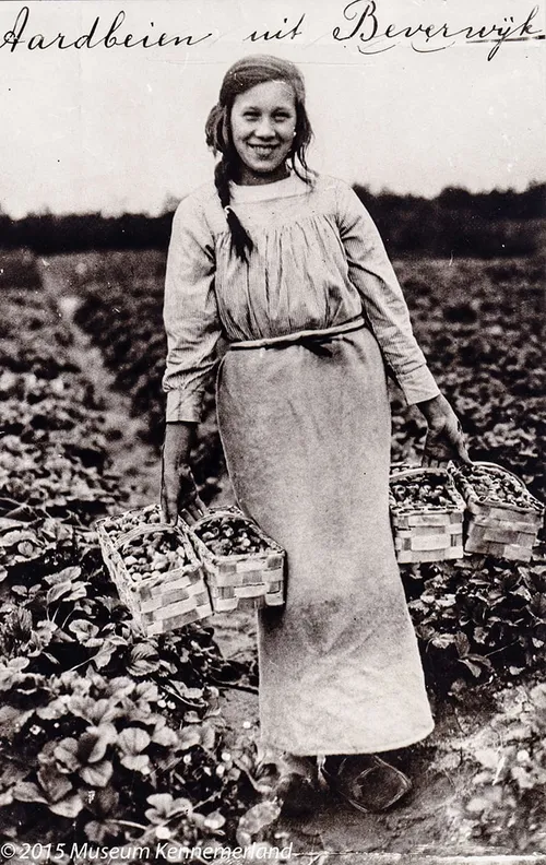 beeldbank muzeum kennemerland