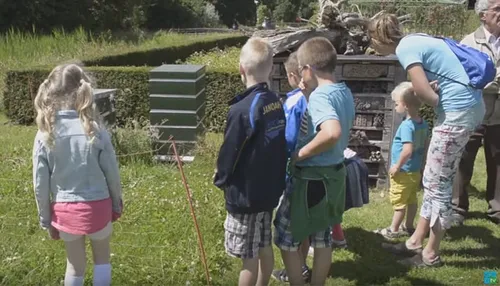 bijenmiddag kinderen