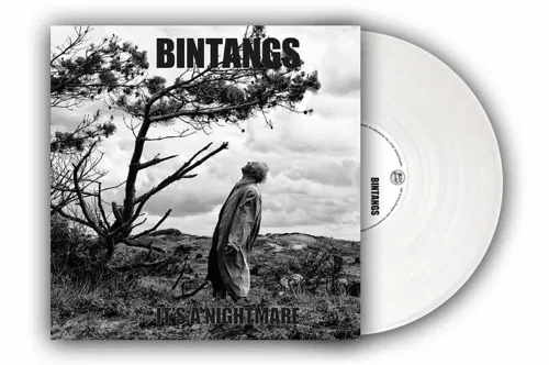 bintangs hoes en vinyl