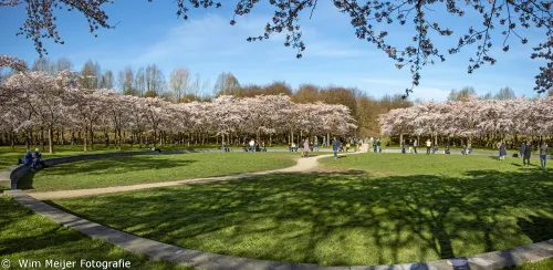 bloempark pano1 wim meijer fotografie