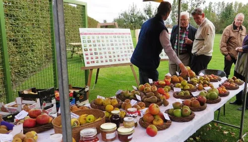 cdnnieuwsnlmediasites14320160928142418oogstmarkt 201426 bnner1 7349944ed6864be26408bfe3836eb573ac1c6a63