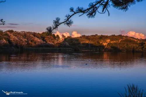 cdnnieuwsnlmediasites4720170923071737b21 b3e5d3ad23a6f85a51f74abfea23d2cbff5f7770