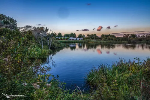 cdnnieuwsnlmediasites4720170923071747b31 3de2ff3587cf66c4f620eb43244c8765380aa45d