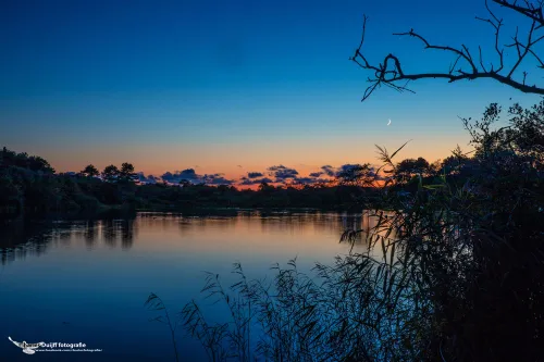 cdnnieuwsnlmediasites4720170923071823bokkedoornssundown2 93837236537ad3e3be37d4ca85e00766093cabc2