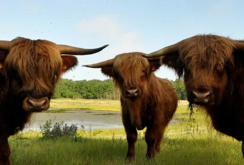 deze drie zijn er ook zaterdag