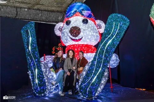 drie dames lichtjes art