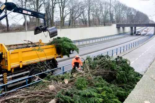 driehuis santpoortsedreef