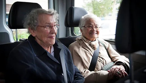 e h van der meijden en a h walraven hips 2