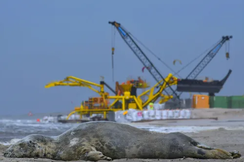 eerste prijs gerardhommers fotograaf gerard hommers