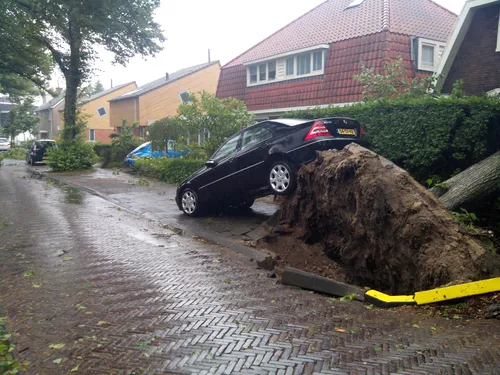 engelien van diepen faber