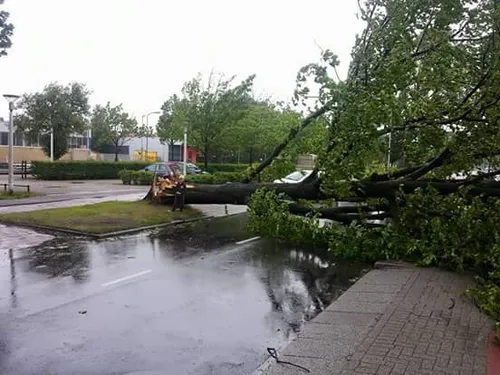 fb img 1437834052387