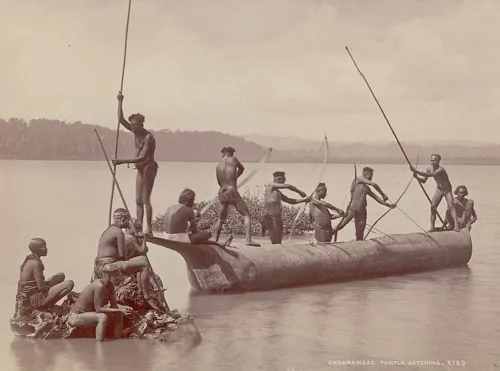 group of andaman men and women in costume some wearing body paint and with bows and arrows catching turtles from boat on water