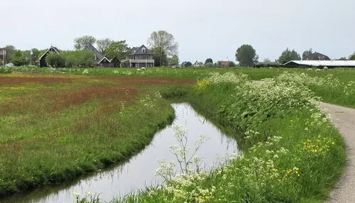 henk van bruggen banner