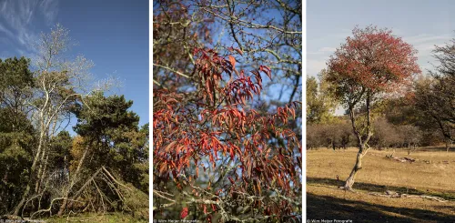 herfst mix heemskerk wmf