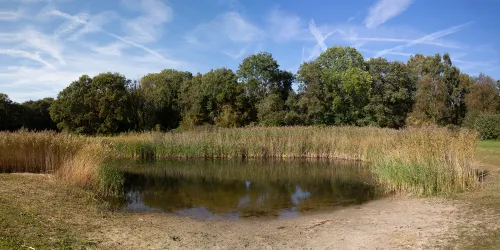 herfst panorama heemskerk wim meijer fotografie