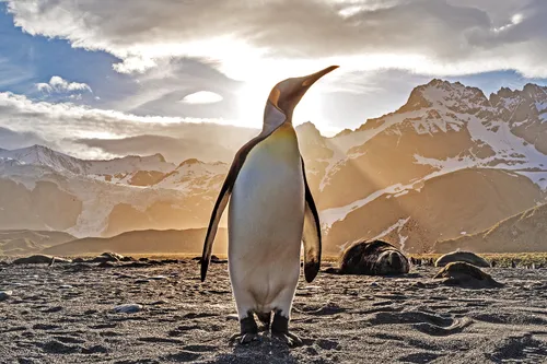 ian parker 546258 unsplash