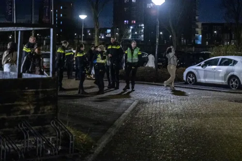 img 20240204 wa0024 copy 2048x1365