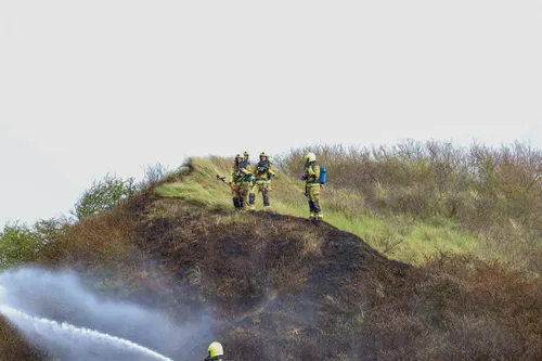 img 20240406 wa0058 copy 1166x777