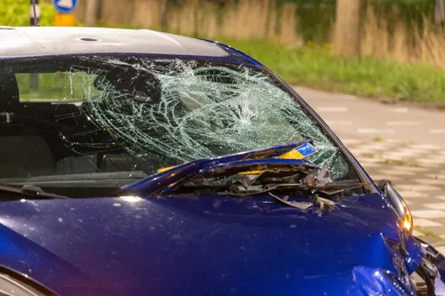 img 20240502 wa0039 copy 1433x955