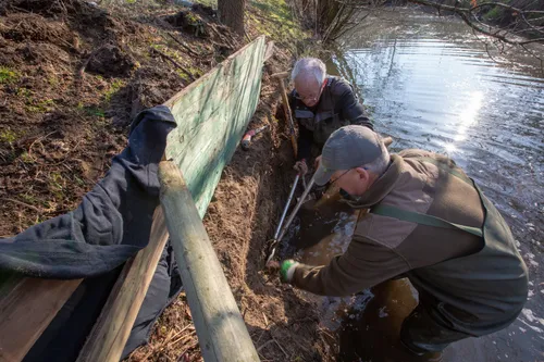 img 4139 ijsvogel oeverzwaluw 2020