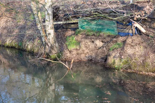 img 4230 ijsvogel oeverzwaluw 2020 1