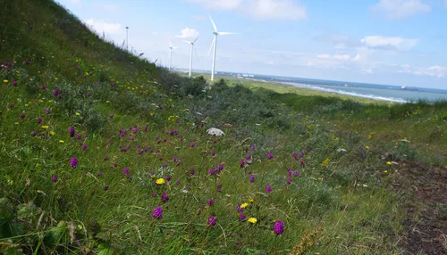 imgp8345 3 tata banner