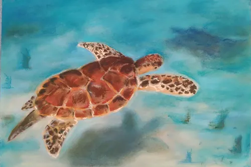 kunstwerk water tentoonstelling lucasgilde beverwijk 2