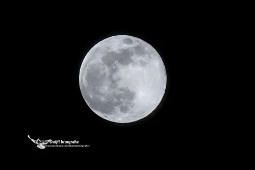 maan mooi2 kl