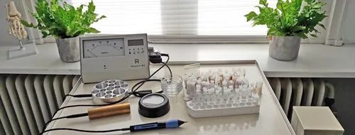 mesoligie castricum fb2