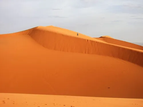 natuurdetail foto renc3a9 beentjes