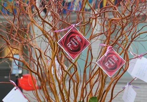 ni 201502031202530 z