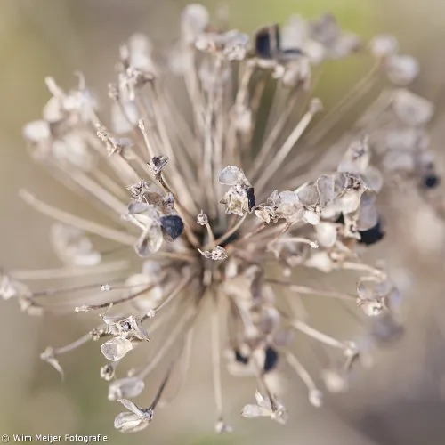 op de grens van de seizoenen