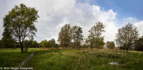 pano westerhout wim meijer fotografie