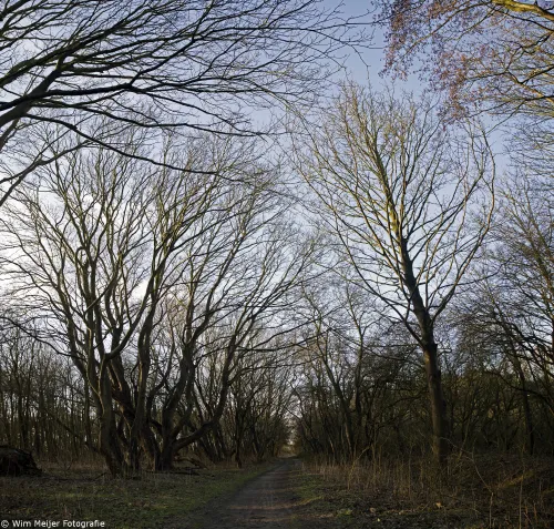 panorama 2 duinen castricunm 030219