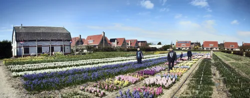 panorama hortus bulborum 2 small