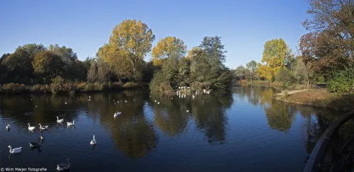 panorama westerhoutpark 1