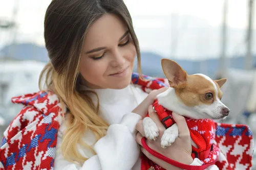 people 2586356 1920 poxa