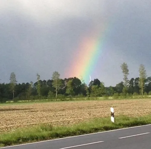 regenboog