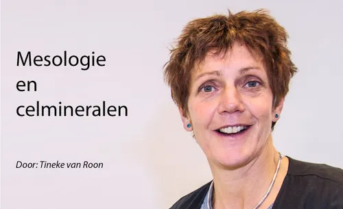 tineke kop celmineralen