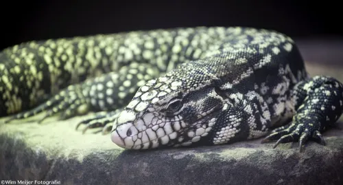 tumblr mrn3rftowi1svvyvco4 1280