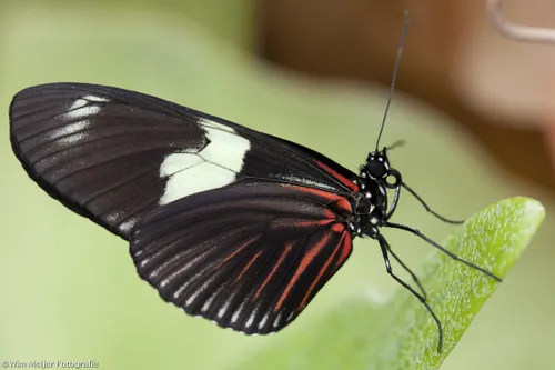 tumblr mrsjt5hszr1svvyvco5 1280