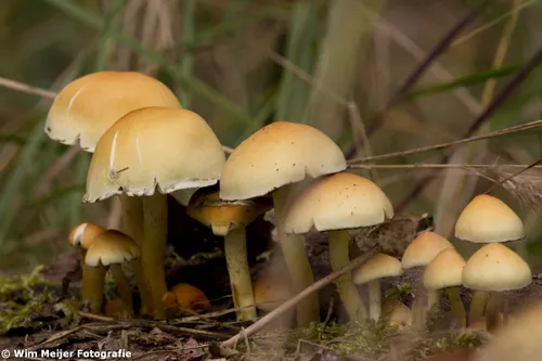 tumblr mugo8ln0yl1svvyvco4 1280