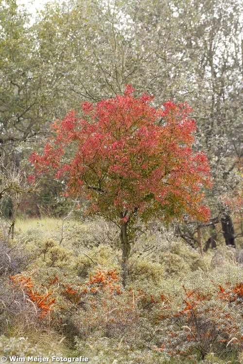 tumblr mugo8ln0yl1svvyvco5 1280