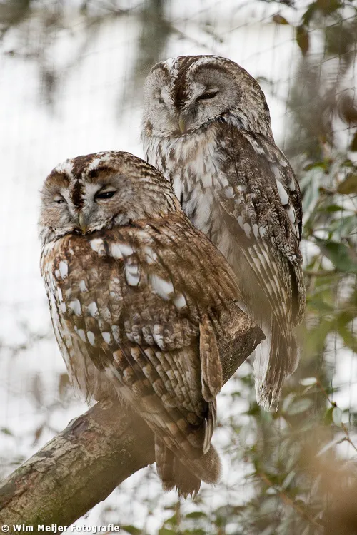 tumblr mw1nwpepga1svvyvco10 1280