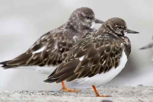 tumblr mw1nwpepga1svvyvco5 1280