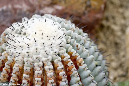 tumblr mw59hljnpg1svvyvco6 1280