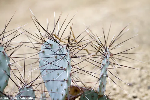 tumblr mw59hljnpg1svvyvco7 1280