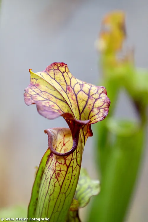 tumblr mwod0m2tcv1svvyvco2 1280