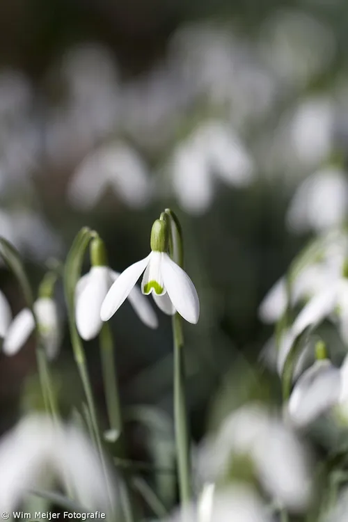 tumblr n1ikvoeafh1svvyvco2 1280