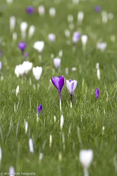 tumblr n1ikvoeafh1svvyvco7 1280